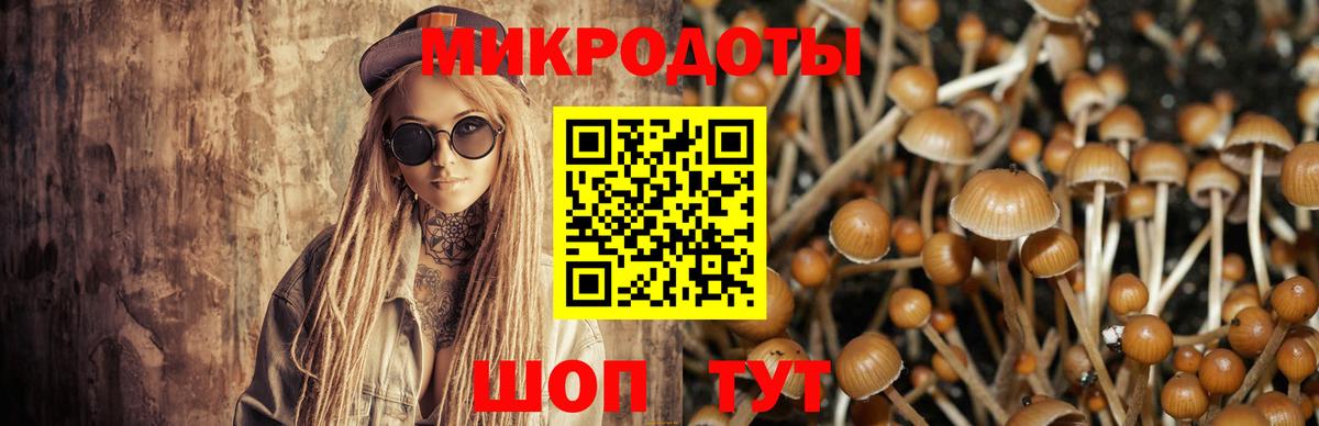 Галлюциногенные грибы мицелий Гурьевск
